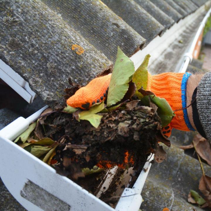 Rain Gutter Cleaning Brevard County